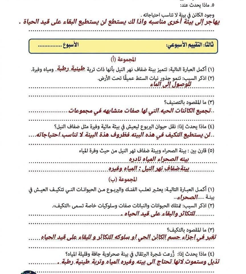 حل تقييم الاسبوع الثاني3 حل تقييم الاسبوع الثاني3